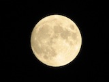 今宵は、満月。家族で料理を囲むと充実した時間に。 今宵は、満月。家族で料理を囲むと充実した時間に。