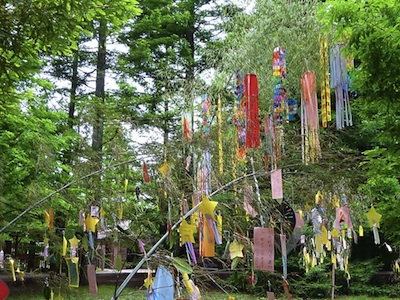 七夕って、何をお願いするのが効果的？