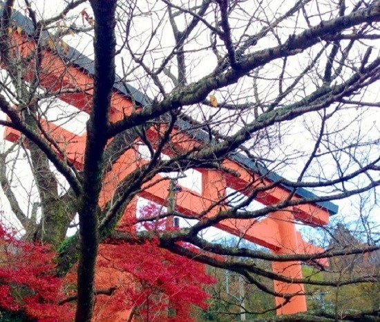 絶対幸せになりたい人必見！神社で恋愛成就率をアップさせる方法