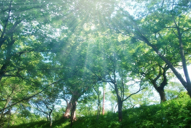 5月の憂鬱を吹き飛ばす方法